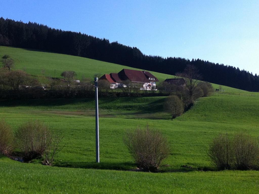 Gasthof Richebaechli Elzach Exterior photo